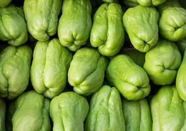 Sequía en Veracruz provoca subida del precio del chayote