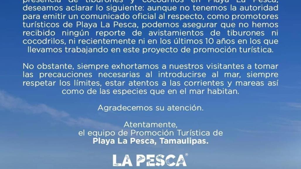 Playa de La Pesca, sin riesgo de tiburones