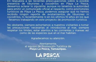 Playa de La Pesca, sin riesgo de tiburones