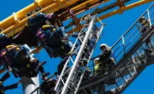 ¿Six Flags talará 150 árboles en Tlalpan? Esto es lo que sabemos