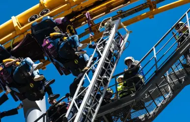 ¿Six Flags talará 150 árboles en Tlalpan? Esto es lo que sabemos