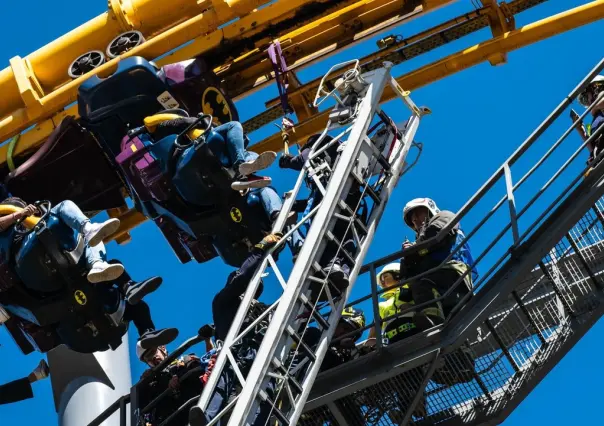 ¿Six Flags talará 150 árboles en Tlalpan? Esto es lo que sabemos