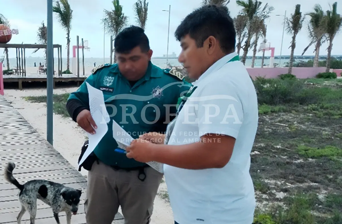 PROFEPA: Estatua de Poseidón es clausurada temporalmente