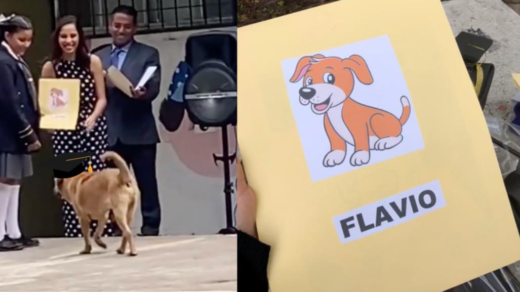 Flavio, el fiel compañero, recibe reconocimiento en graduación (VIDEO)