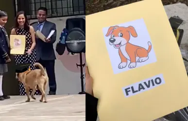 Flavio, el fiel compañero, recibe reconocimiento en graduación (VIDEO)