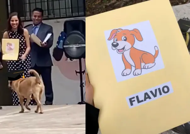 Flavio, el fiel compañero, recibe reconocimiento en graduación (VIDEO)