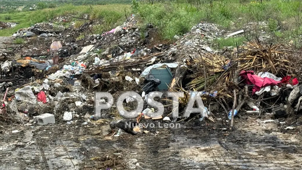 Más de una decena de perros son calcinados en basurero clandestino de Nuevo León