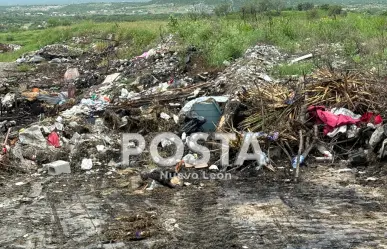 Más de una decena de perros son calcinados en basurero clandestino de Nuevo León