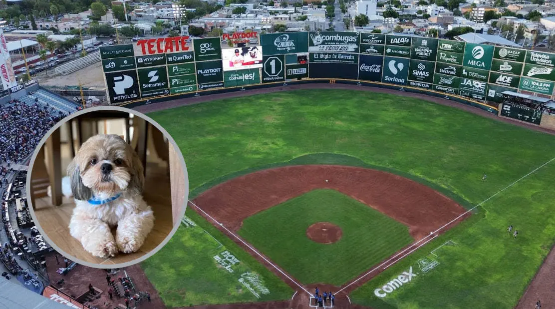 El domingo 14 de julio habrá vacunación antirrábica para los perritos en el estadio Revolución. (Fotografía: Unión Laguna)