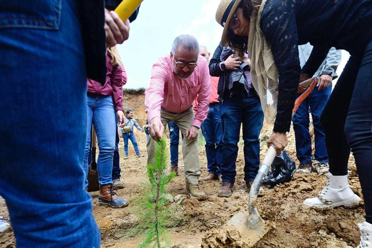 Al rescate de los bosques en Edomex con Plan de Restauración