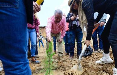 Al rescate de los bosques en Edomex con Plan de Restauración
