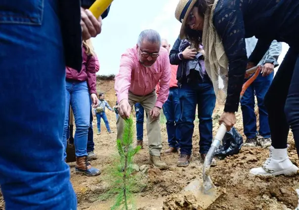 Al rescate de los bosques en Edomex con Plan de Restauración