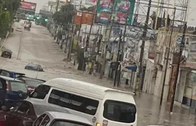 Inundaciones, caída de árboles y afectaciones viales en Edomex (VIDEO)