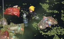 Limpian 18 cenotes en Yucatán y sacan 25 toneladas de basura