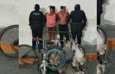 Detienen a pareja por robo de motor de lancha en Progreso