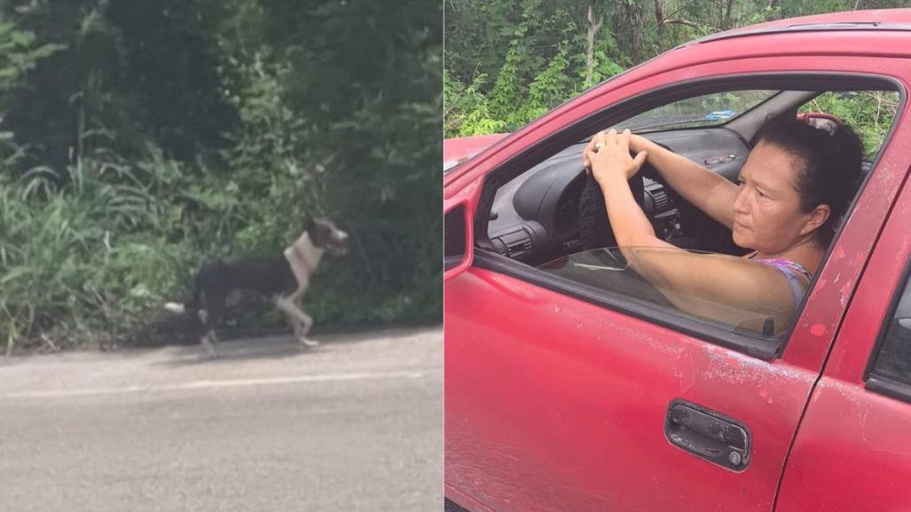 Mujer abandona a su perro al sur de Mérida