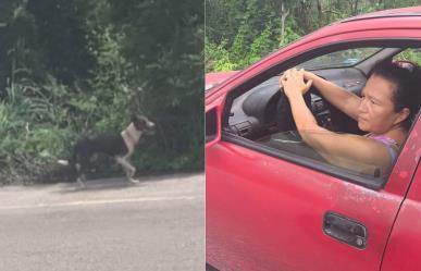 Mujer abandona a su perro al sur de Mérida