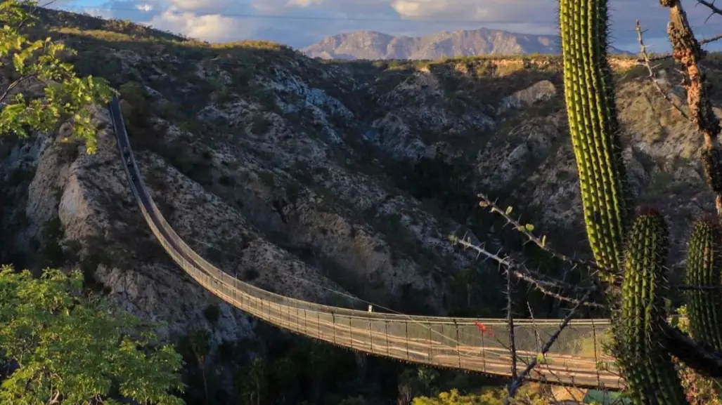 BCS tiene el puente colgante de madera más largo de América Latina