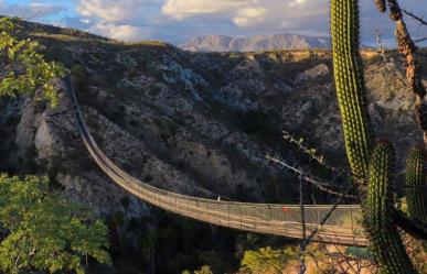 BCS tiene el puente colgante de madera más largo de América Latina