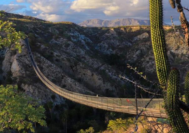 BCS tiene el puente colgante de madera más largo de América Latina