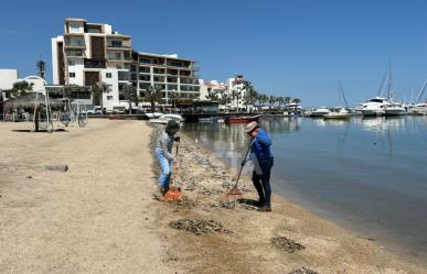 COEPRIS investiga posible ´marea verde´ no tóxica en la bahía de La Paz