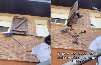 Jóvenes se sorprenden al encontrar una plaga de murciélagos en su casa (VIDEO)