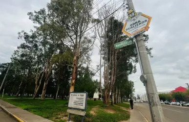 Hay dudas sobre quién pavimentó la Calle Madreselva en Jardines de Durango