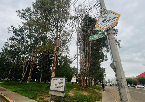 Hay dudas sobre quién pavimentó la Calle Madreselva en Jardines de Durango