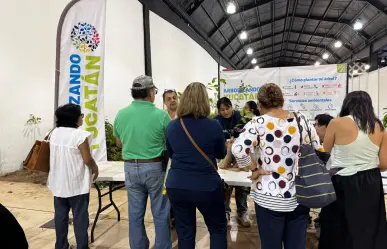 Más de 6 mil árboles fueron adoptados el fin de semana en Mérida