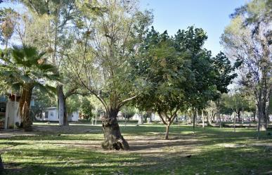 Bosque Venustiano Carranza en Torreón: el pulmón verde en La Laguna