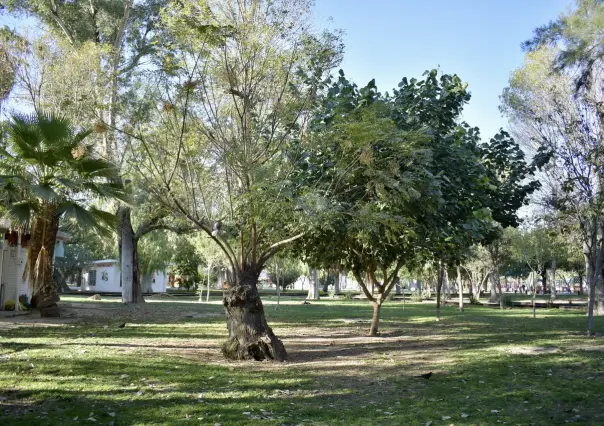 Bosque Venustiano Carranza en Torreón: el pulmón verde en La Laguna