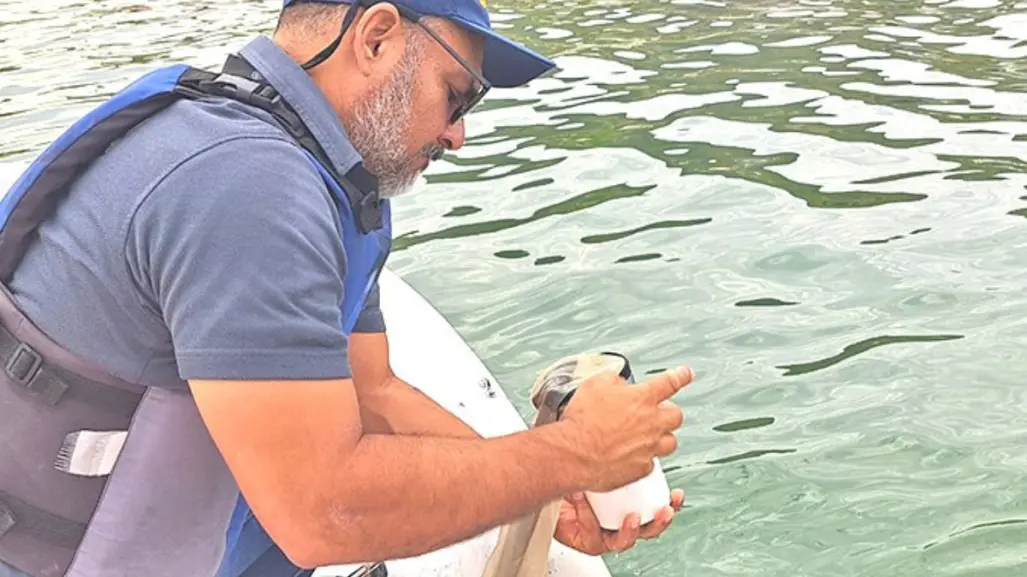 Recolectan 5 toneladas de peces muertos en La Paz: COEPRIS descarta marea roja