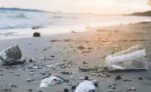 Únete a la macro limpieza de playas: sé parte del cambio en Julio Sin Plásticos