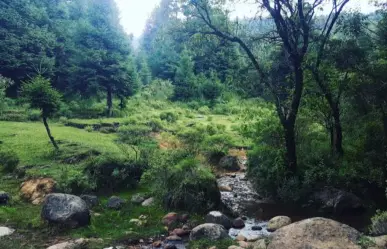 Existe un bosque embrujado en Jilotzingo; a una hora de CDMX