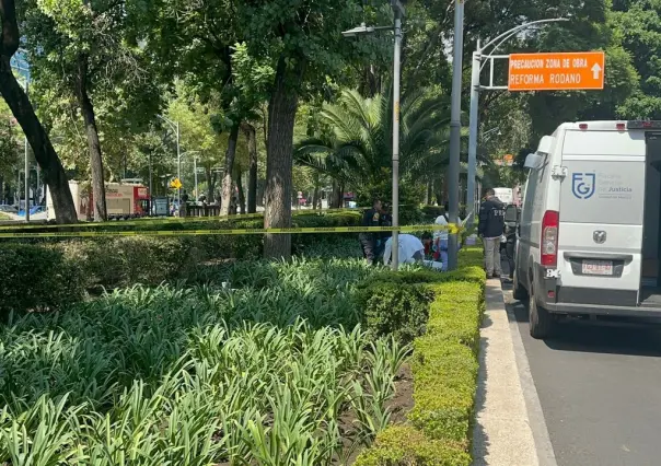 Hallan sin vida a hombre en situación prioritaria en Paseo de la Reforma