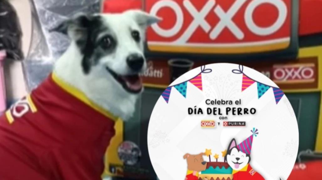 ¡Para consentir al lomito! Lanzan Oxxo y Purina promo por el día del perro