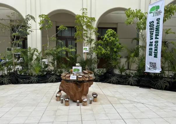 Mérida es sede del Sexto Foro de Arboricultura Tropical