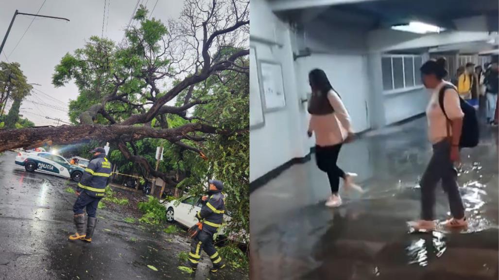 Lluvias dejan árboles caídos, encharcamientos en vialidad y en el metro