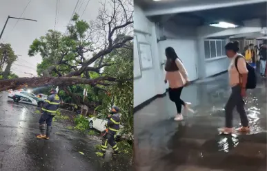 Lluvias dejan árboles caídos, encharcamientos en vialidad y en el metro