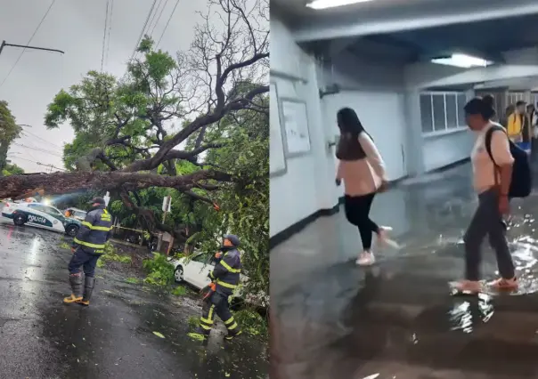 Lluvias dejan árboles caídos, encharcamientos en vialidad y en el metro