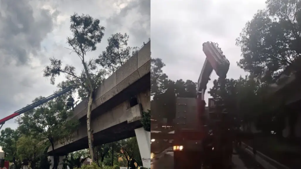 Cae árbol a vías de Línea 4 del STC Metro y se suspende servicio por lluvia