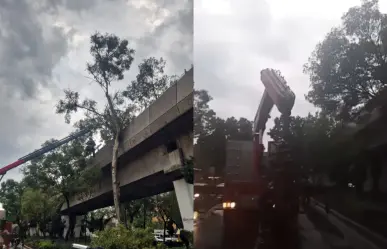 Cae árbol a vías de Línea 4 del STC Metro y se suspende servicio por lluvia