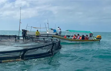 Comienzan los recorridos turísticos en la Zona de Refugio Pesquero de Celestún