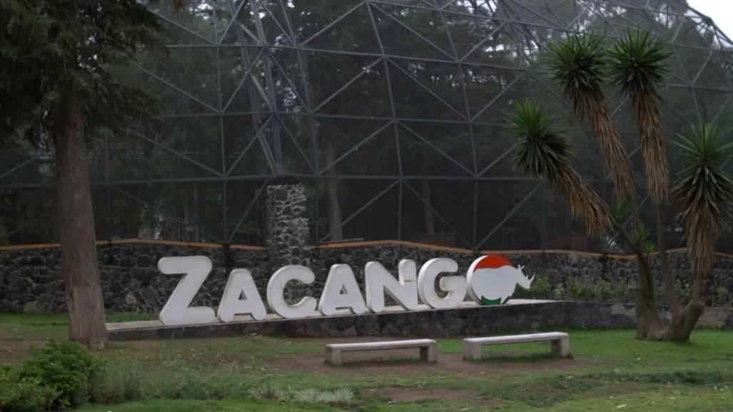 ¡Abren curso de verano en Parque Ecológico Zacango! Conoce los detalles