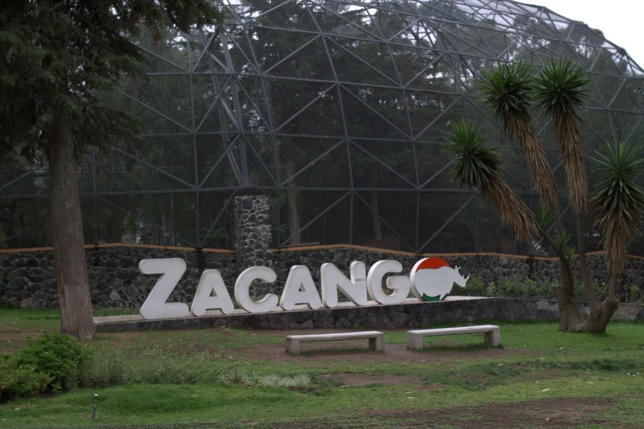 Este verano el Parque Ecológico de Zacango ofrece diversas actividades para los más pequeños del hogar. Imagen: GEM