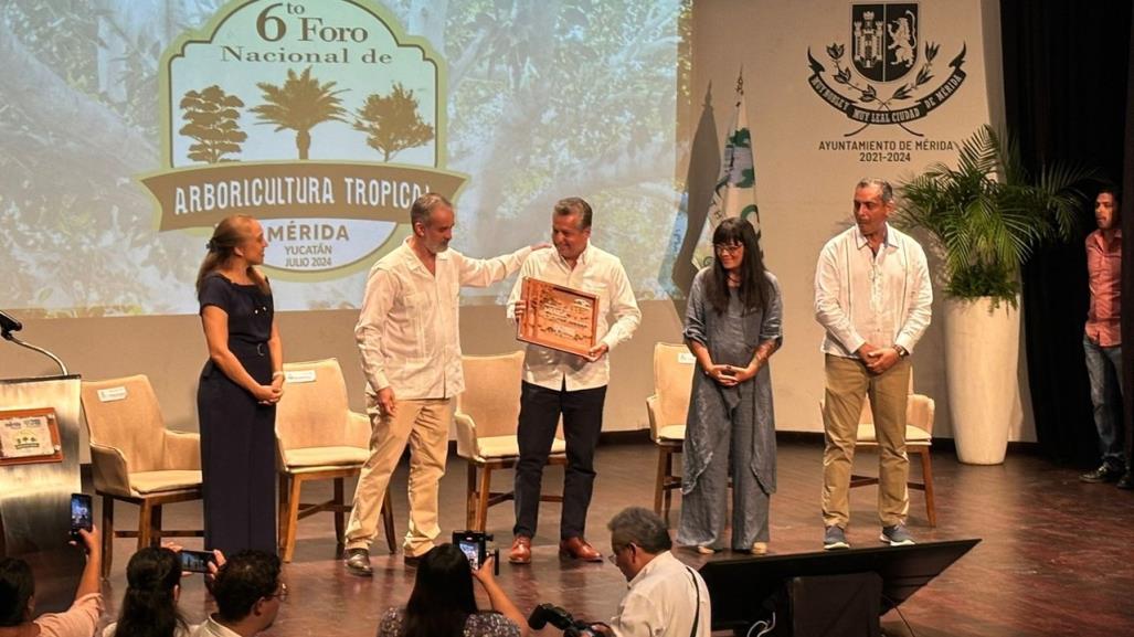 Mérida es reconocida como Ciudad Árbol por quinto año consecutivo