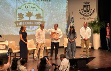 Mérida es reconocida como Ciudad Árbol por quinto año consecutivo