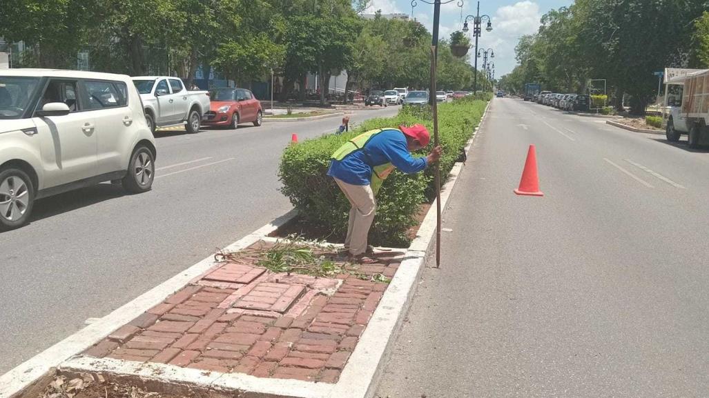 Modernizan el sistema de riego de Paseo de Montejo