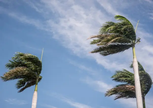 Pronóstico del tiempo para Tamaulipas: Lluvias fuertes y posibles torbellinos