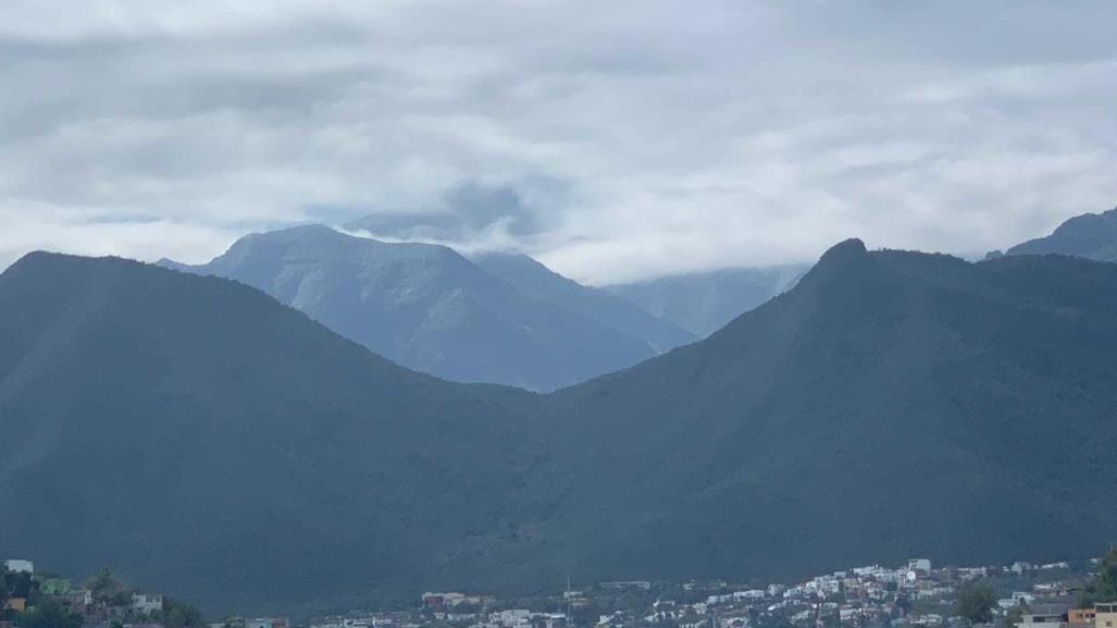 Lluvias permitirán reforestación en 60 hectáreas de la Sierra Zapalinamé